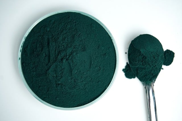 Chlorella und Spirulina zwei Superalgen