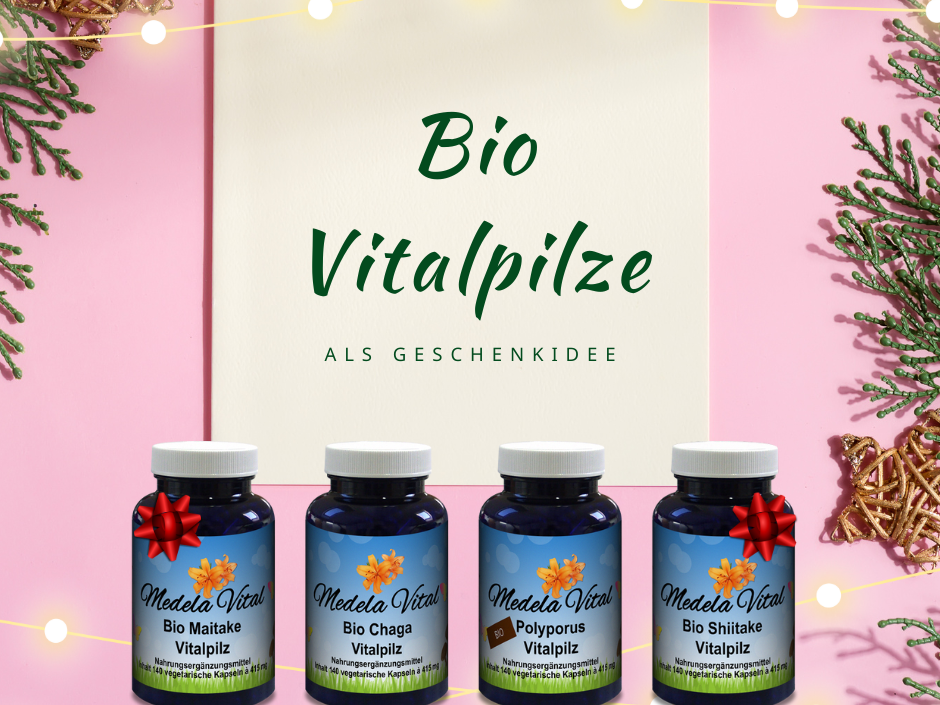 Bio Vitalpilze für Wohlbefinden verschenken