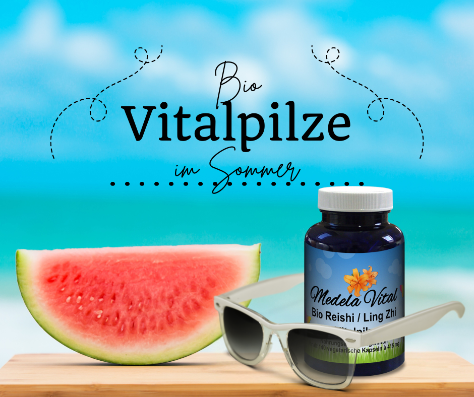 Bio Vitalpilze im Sommer