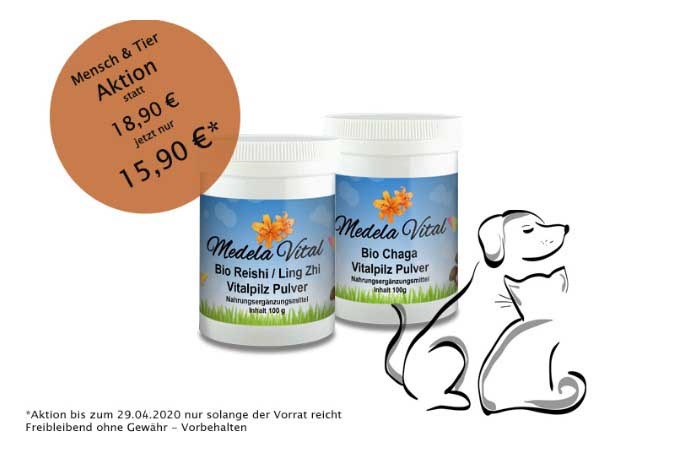 MedelaVital Ihr für Vitalpilze