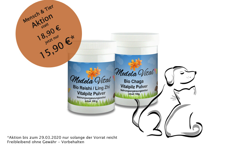 MedelaVital Ihr für Vitalpilze