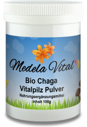 Bio Chaga 100g Dose