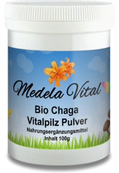 Bio Chaga 100g Dose