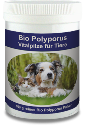 Bio Polyporus 100g Dose
