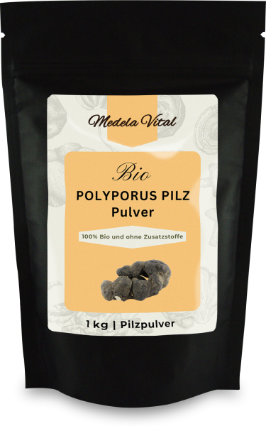 Bio Polyporus Pulver