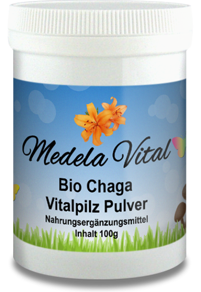Bio Chaga 100g Dose