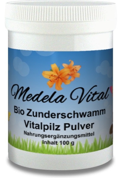 Bio Zunderschwamm 100g Dose