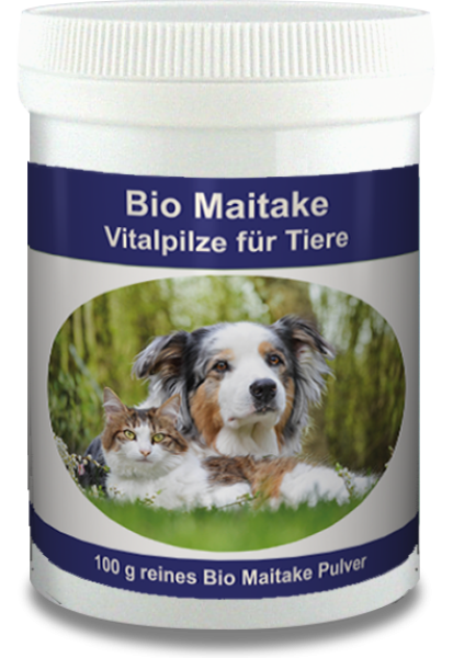 Bio Maitake 100g Dose