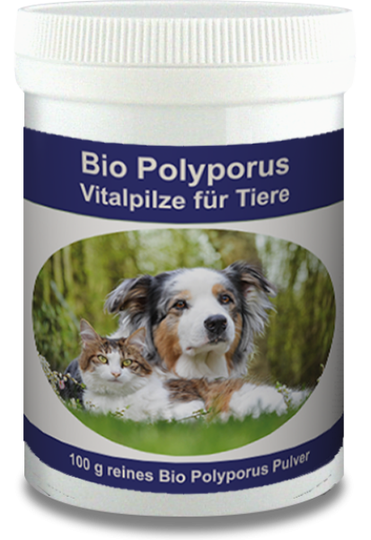 Bio Polyporus 100g Dose