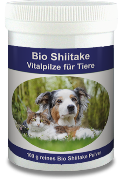 Bio Shiitake 100g Dose